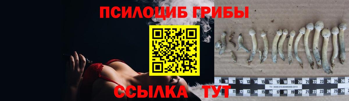 Барабинск  где купить наркоту  Вход с VPN  Псилоцибиновые грибы мицелий 